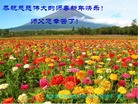 Published on 2/3/2011 ֹ,½ҵ󷨵ӹףʦ֣229أ - ִ

