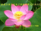 ֹ,ִ󷨵ӹʦ - ִ
