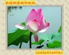 ֹ,ִ󷨵ӹʦ - ִ

