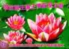 Published on 1/1/2012 ֹ,ϵͳ󷨵ӹףʦԪ - ִ
