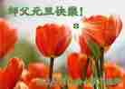 Published on 1/1/2012 ֹ,Сӹʦ - ִ
