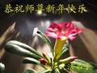 ֹ,ִ󷨵ӹףʦ - ִ
