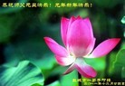 ֹ,ִ󷨵ӹʦ - ִ
