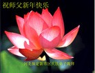 ֹ,ִ󷨵ӹʦ - ִ
