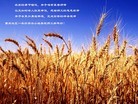 Published on 1/1/2012 ֹ,½󷨵ӹףʦԪ - ִ

