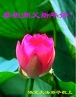 ֹ,ִ󷨵ӹʦ - ִ
