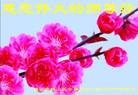 Published on 1/1/2012 ֹ,½󷨵ӹףʦԪ - ִ
