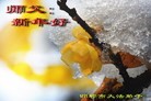 Published on 1/1/2012 ֹ,½󷨵ӹףʦԪ֣ʮģ - ִ
