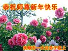 Published on 1/1/2012 ֹ,½󷨵ӹףʦԪ֣һ - ִ
