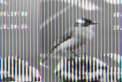 Published on 1/1/2012 ֹ,ϵͳ󷨵ӹףʦԪ - ִ
