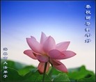 Published on 1/1/2012 ֹ,½󷨵ӹףʦԪ֣壩 - ִ
