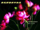 Published on 1/1/2012 ֹ,½󷨵ӹףʦԪ֣ʮ - ִ
