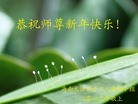 Published on 1/1/2012 ֹ,ϵִ󷨵ӹʦ - ִ
