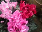 Published on 1/1/2012 ֹ,½󷨵ӹףʦԪ֣ʮģ - ִ
