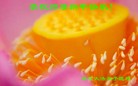 Published on 1/1/2012 ֹ,½󷨵ӹףʦԪ֣ - ִ
