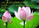 Published on 1/1/2012 ֹ,½󷨵ӹףʦԪ֣ - ִ
