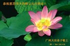 Published on 1/1/2012 ֹ,ϵִ󷨵ӹʦ - ִ
