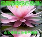 Published on 1/1/2012 ֹ,½󷨵ӹףʦԪ֣ˣ - ִ
