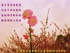 Published on 1/1/2012 ֹ,½󷨵ӹףʦԪ֣ˣ - ִ
