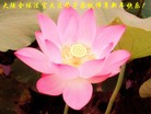 Published on 2/3/2011 ֹ,ӡ˾ŵĴ󷨵Ӹʦ - ִ
