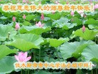 Published on 2/3/2011 ֹ,½󷨵ӹףʦ(ʮһ240) - ִ
