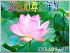 Published on 2/4/2011 ֹ,½󷨵ӹףʦ֣ʮģ204أ - ִ
