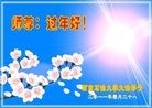 Published on 2/3/2011 ֹ,½ϵͳ󷨵ӹףʦã180أ - ִ
