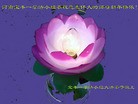 Published on 2/4/2011 ֹ,½󷨵ӹףʦ֣ʮģ245أ - ִ
