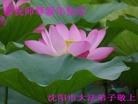 Published on 2/4/2011 ֹ,½󷨵ӹףʦ֣ʮģ245أ - ִ
