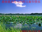 Published on 2/4/2011 ֹ,½󷨵ӹףʦ֣ʮ237أ - ִ
