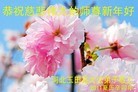 Published on 2/4/2011 ֹ,½󷨵ӹףʦ֣ʮߣ240أ - ִ
