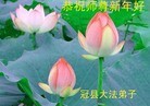 Published on 2/4/2011 ֹ,½󷨵ӹףʦ֣ʮߣ240أ - ִ
