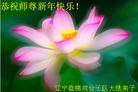Published on 2/4/2011 ֹ,½󷨵ӹףʦ֣ʮߣ240أ - ִ
