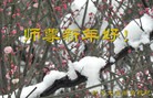 Published on 2/4/2011 ֹ,½󷨵ӹףʦ֣ʮţ234أ - ִ
