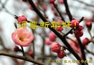 Published on 2/3/2011 ֹ,½ϵͳ󷨵ӹףʦã180أ - ִ
