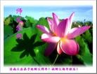 Published on 2/4/2011 ֹ,½󷨵ӹףʦ֣ʮţ234أ - ִ
