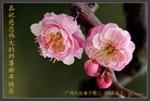 Published on 2/4/2011 ֹ,½󷨵ӹףʦ֣ʮߣ151أ - ִ
