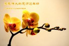 Published on 2/4/2011 ֹ,½󷨵ӹףʦ֣ʮߣ151أ - ִ

