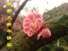 Published on 2/4/2011 ֹ,½󷨵ӹףʦ֣ʮ160أ - ִ
