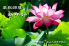 Published on 2/4/2011 ֹ,½󷨵ӹףʦ֣ʮ160أ - ִ
