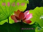 Published on 2/4/2011 ֹ,½󷨵ӹףʦ֣ʮ160أ - ִ
