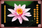 Published on 2/4/2011 ֹ,½󷨵ӹףʦ֣ʮˣ208أ - ִ
