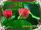 Published on 2/4/2011 ֹ,½󷨵ӹףʦ֣ʮˣ208أ - ִ

