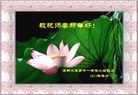 Published on 2/4/2011 ֹ,½󷨵ӹףʦ֣ʮˣ208أ - ִ
