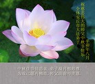 Published on 9/12/2011 法轮功,大陆大法弟子恭祝师尊中秋快乐（121条） - 法轮大法明慧网
