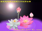 ֹ,󷨵ʺʦã160 - ִ
