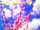 ֹ,󷨵ӹףʦã113 - ִ
