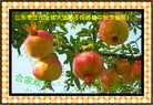 ֹ,󷨵ʺʦã160 - ִ
