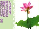 Published on 9/12/2011 ֹ,½󷨵ӹףʦ֣160 - ִ
