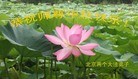 Published on 9/12/2011 ֹ,½󷨵ӹףʦ֣156 - ִ
